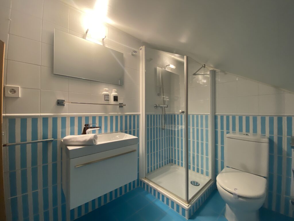 Baño con azulejo a rayas azules, ducha, lavabo e inodoro